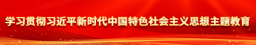 操熟女骚屄学习贯彻习近平新时代中国特色社会主义思想主题教育